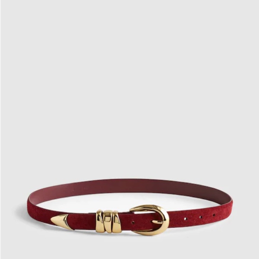 Madewell Belt with Gold Accents